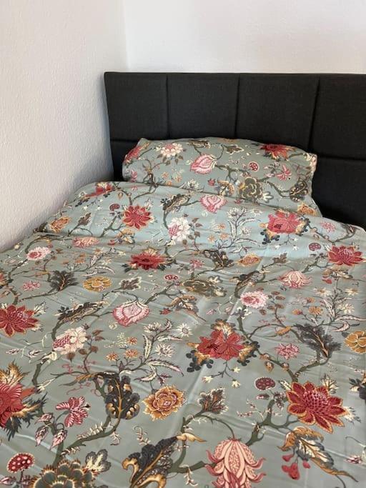 City Appartement Direkt Am Schloss! Karlsruhe Dış mekan fotoğraf