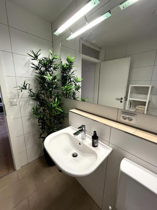City Appartement Direkt Am Schloss! Karlsruhe Dış mekan fotoğraf