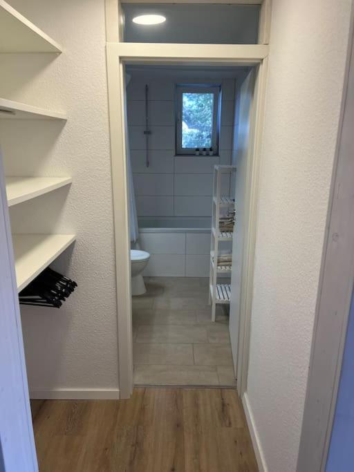 City Appartement Direkt Am Schloss! Karlsruhe Dış mekan fotoğraf